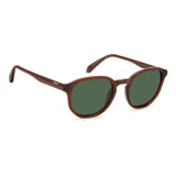 #color_BROWN1