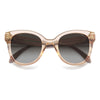 NUDE / 50-23-140 / BROWN SHADED POLARIZED