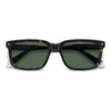 HAVANA / 55-17-145 / GREEN POLARIZED