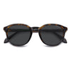 HAVANA / 51-21-145 / GREY POLARIZED