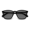 BLACK / 54-19-145 / GREY POLARIZED